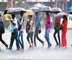 Tamil Nadu: Heavy rains force schools, colleges to close down
